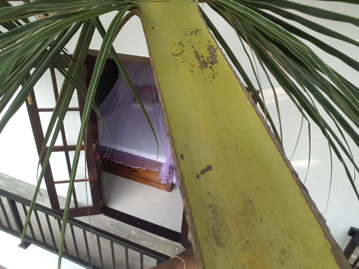Coco Rooms Galle Zewnętrze zdjęcie
